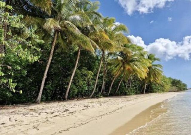 Touloukaera Appt 303 Plage Kawann Saint-Louis Buitenkant foto