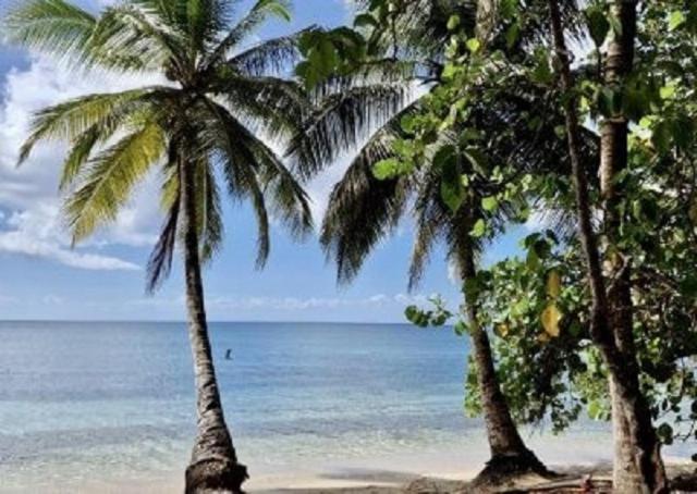 Touloukaera Appt 303 Plage Kawann Saint-Louis Buitenkant foto